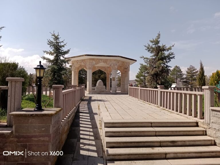 WhatsApp Image 2025-03-30 at 12.19.16