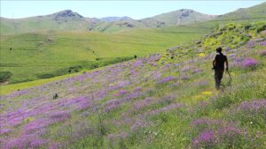 Bayburt 3