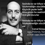 cemal-sureya