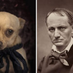 Baudelaire