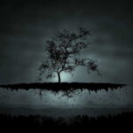 desktop-wallpaper-life-and-death-lifedeath