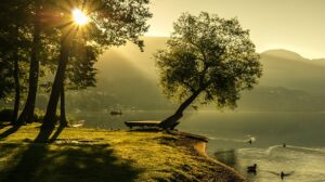 landscape-1192669_640