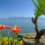 God's Power is demonstrated through His Creation... (see Romans 1:21)