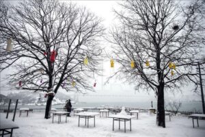 thumbs_b2_e573118c564f995f84a841831fe80aff