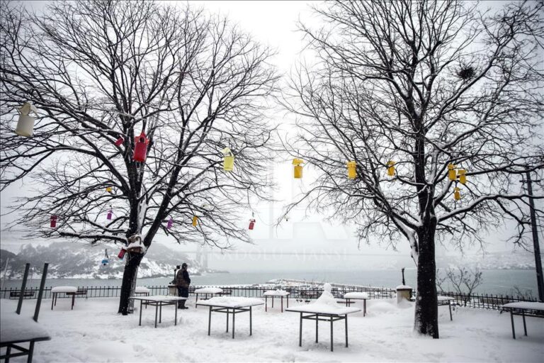 thumbs_b2_e573118c564f995f84a841831fe80aff