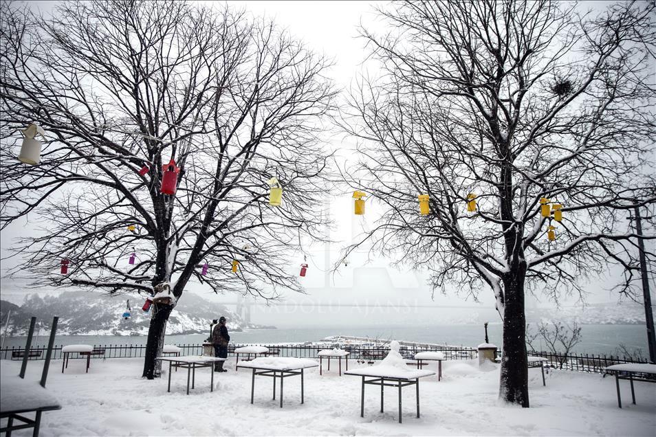 thumbs_b2_e573118c564f995f84a841831fe80aff