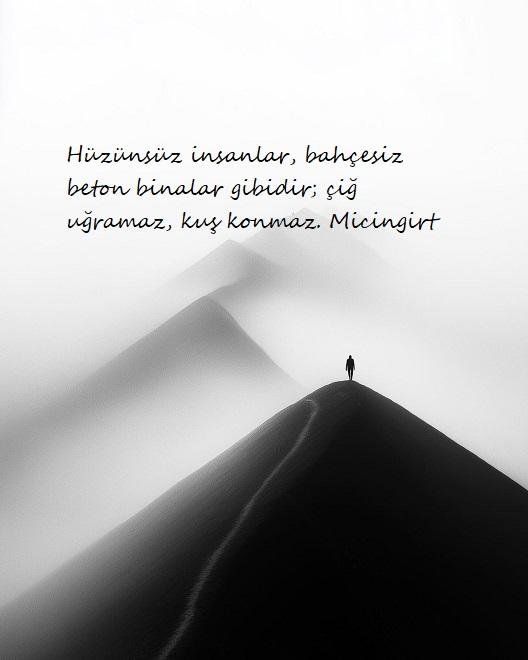 17c593df-4330-4d54-9363-061a5a74a396(1)