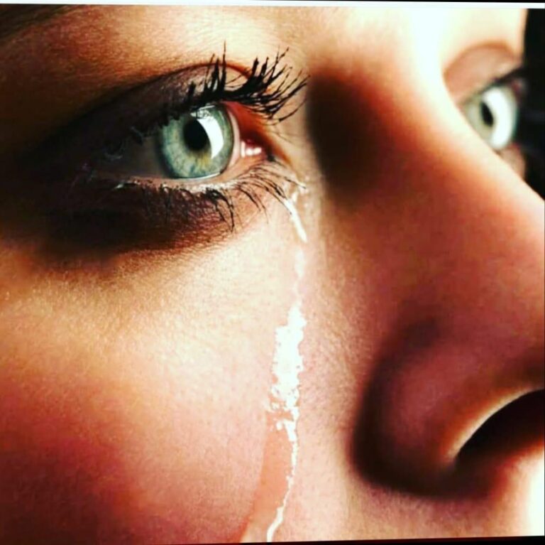 dcc850df-b26c-4ee0-9f1d-10424f22dbf5(1)