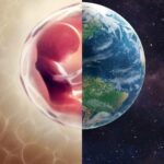 human-the-world-within-dizisi-netflixte-insan-icimizdeki-dunya-nasil-bir-yapim-25197-1024x576