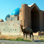 turkestan-t