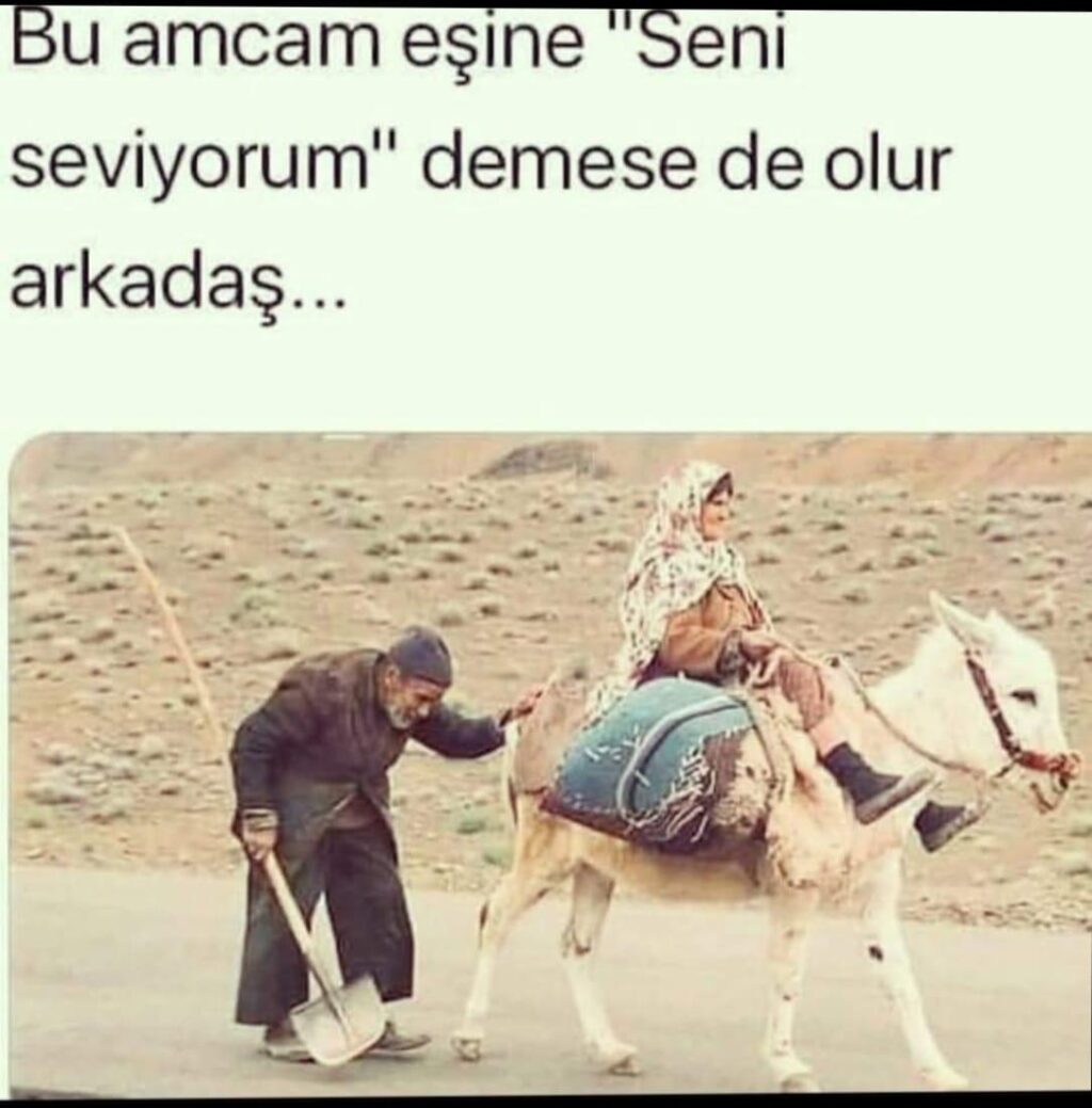 8eb102e4-a93c-49d0-9581-62acdbd89b3c(1)