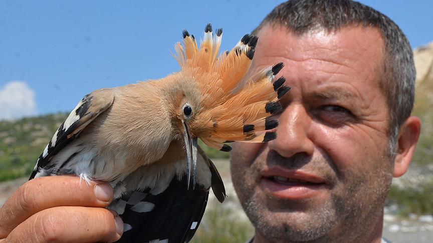 thumbs_b_c_9acfd9f0f00865bdfb49ac37ddf49fbd