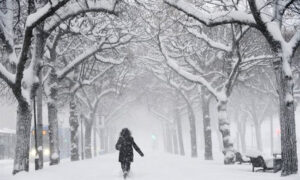 zemheri-zemherir-erbain_1600x