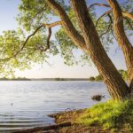 depositphotos_195858440-stock-photo-scenic-tree-on-shore-of