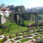 172ebb28_dff6_4efc_8e7f_f71b97248729_988700cf4d