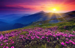 depositphotos_11008977-stock-photo-mountain-magic-landscape