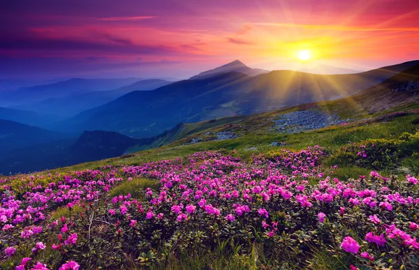 depositphotos_11008977-stock-photo-mountain-magic-landscape