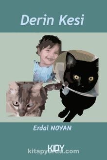 Noyan