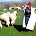 Mahzun Çoban Şiiri