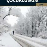 kar-renkli-cocuklugum-13882859-88-B