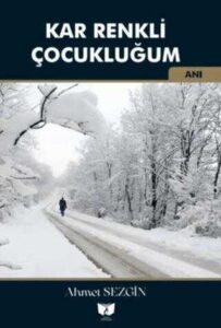 kar-renkli-cocuklugum-13882859-88-B