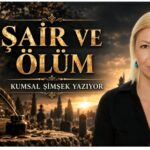 Oplus_16908288