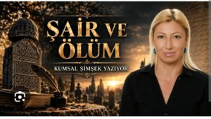 Oplus_16908288